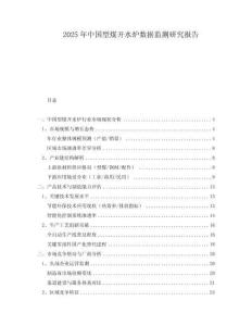 2025年中國型煤開水爐數(shù)據(jù)監(jiān)測研究報告