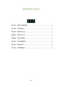 高效生物質(zhì)氣化技術(shù)-洞察及研究