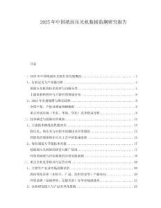 2025年中國(guó)紙面壓光機(jī)數(shù)據(jù)監(jiān)測(cè)研究報(bào)告