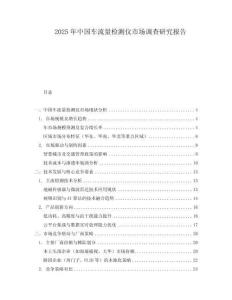 2025年中國車流量檢測儀市場調查研究報告