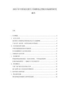 2025年中國雙位蒸汽立體貓須定型機市場調查研究報告