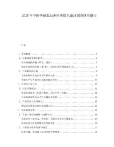 2025年中國快速起動充電兩用機(jī)市場調(diào)查研究報(bào)告