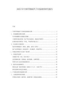 2025年中國纖維柄斧子市場調查研究報告