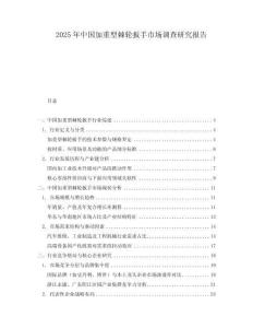 2025年中國(guó)加重型棘輪扳手市場(chǎng)調(diào)查研究報(bào)告