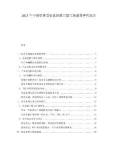 2025年中國瓷外套氧化鋅避雷器市場調(diào)查研究報告