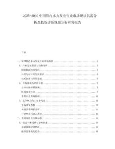 2025-2030中國管內(nèi)水力發(fā)電行業(yè)市場現(xiàn)狀供需分析及投資評估規(guī)劃分析研究報告