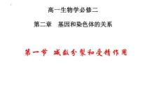 2.1 減數分裂和受精作用-課件-2025-2026 高一生物人教版必修二