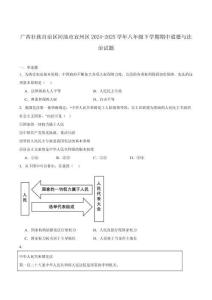 廣西河池市宜州區(qū)2024-2025學(xué)年八年級下學(xué)期期中考試道德與法治試卷（含答案）