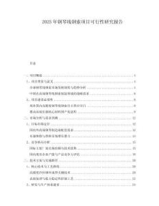 2025年鋼琴線鋼索項目可行性研究報告