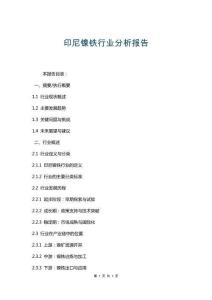 印尼鎳鐵行業(yè)分析報告