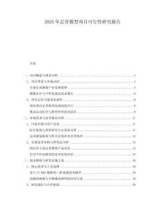 2025年足骨模型項(xiàng)目可行性研究報(bào)告