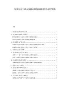 2025年剎車淋水雙路電磁閥項目可行性研究報告