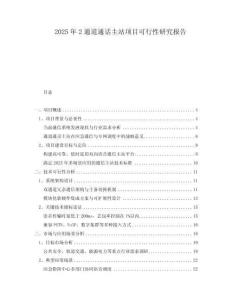 2025年2通道通話主站項目可行性研究報告