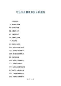 電池行業(yè)暴漲原因分析報告