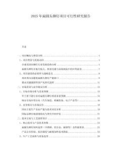 2025年扁圓頭鉚釘項(xiàng)目可行性研究報(bào)告