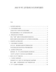 2025年PET文件袋項目可行性研究報告