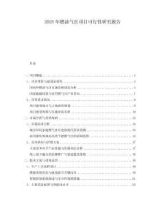 2025年燃油氣灶項(xiàng)目可行性研究報(bào)告