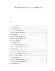 2025年鴕鳥皮皮帶項目可行性研究報告