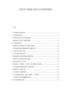 2025年衛(wèi)浴架子項(xiàng)目可行性研究報(bào)告