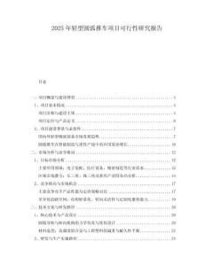 2025年輕型圓弧推車項(xiàng)目可行性研究報(bào)告