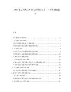 2025年克利夫蘭開口閃點試驗儀項目可行性研究報告