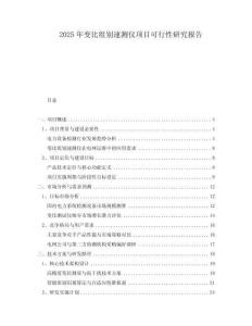 2025年變比組別速測儀項目可行性研究報告