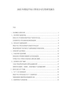 2025年繡花平布口罩項(xiàng)目可行性研究報(bào)告
