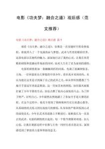 电影《功夫梦：融合之道》观后感