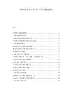 2025年布邊紗夾項目可行性研究報告