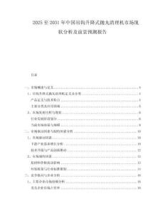 2025至2031年中國(guó)吊鉤升降式拋丸清理機(jī)市場(chǎng)現(xiàn)狀分析及前景預(yù)測(cè)報(bào)告