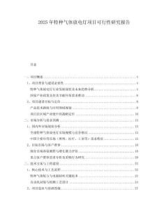 2025年特種氣體放電燈項(xiàng)目可行性研究報(bào)告