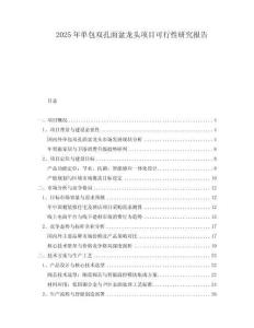 2025年單包雙孔面盆龍頭項(xiàng)目可行性研究報(bào)告