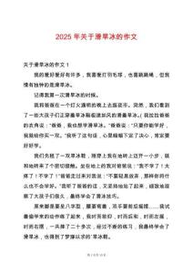 2025年關于滑旱冰的作文