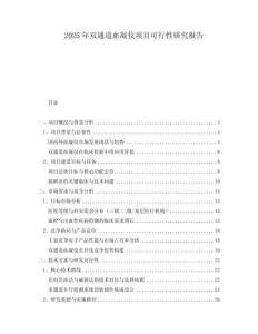 2025年雙通道血凝儀項目可行性研究報告
