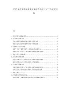 2025年管道保溫用聚氨酯組合料項目可行性研究報告