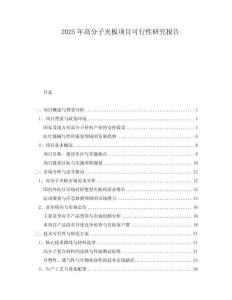 2025年高分子夾板項目可行性研究報告