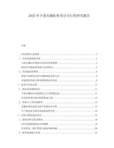 2025年下放壓腳杠桿項(xiàng)目可行性研究報(bào)告