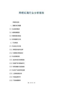 网吧红海行业分析报告