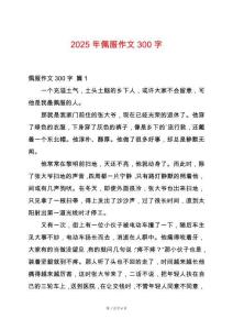2025年佩服作文300字