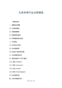 九州未來行業分析報告