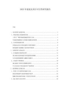 2025年前泥瓦項(xiàng)目可行性研究報告