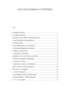 2025年鋁合金刮柄項(xiàng)目可行性研究報(bào)告