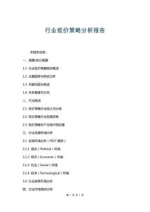 行業(yè)低價(jià)策略分析報(bào)告