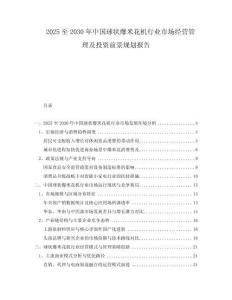 2025至2030年中國球狀爆米花機行業(yè)市場經(jīng)營管理及投資前景規(guī)劃報告
