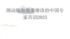 颈动脉海绵窦瘘诊治中国专家共识2025