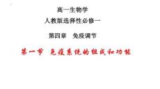 4.1 免疫系統的組成和功能-課件-2025-2026 高一生物學-人教版選擇必修一