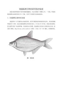 我國魚類引種的探析現(xiàn)狀【2200字】