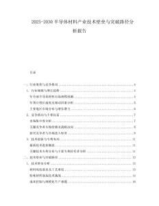 2025-2030半導(dǎo)體材料產(chǎn)業(yè)技術(shù)壁壘與突破路徑分析報(bào)告