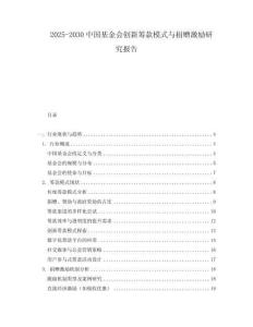 2025-2030中國基金會創新籌款模式與捐贈激勵研究報告