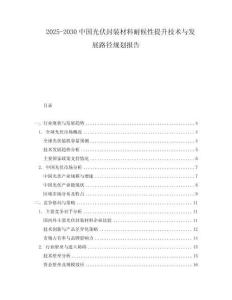 2025-2030中國(guó)光伏封裝材料耐候性提升技術(shù)與發(fā)展路徑規(guī)劃報(bào)告